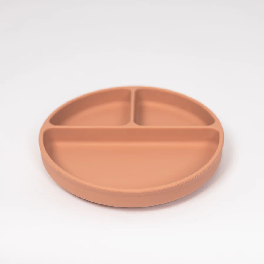 Terracotta Suction Divider Plate